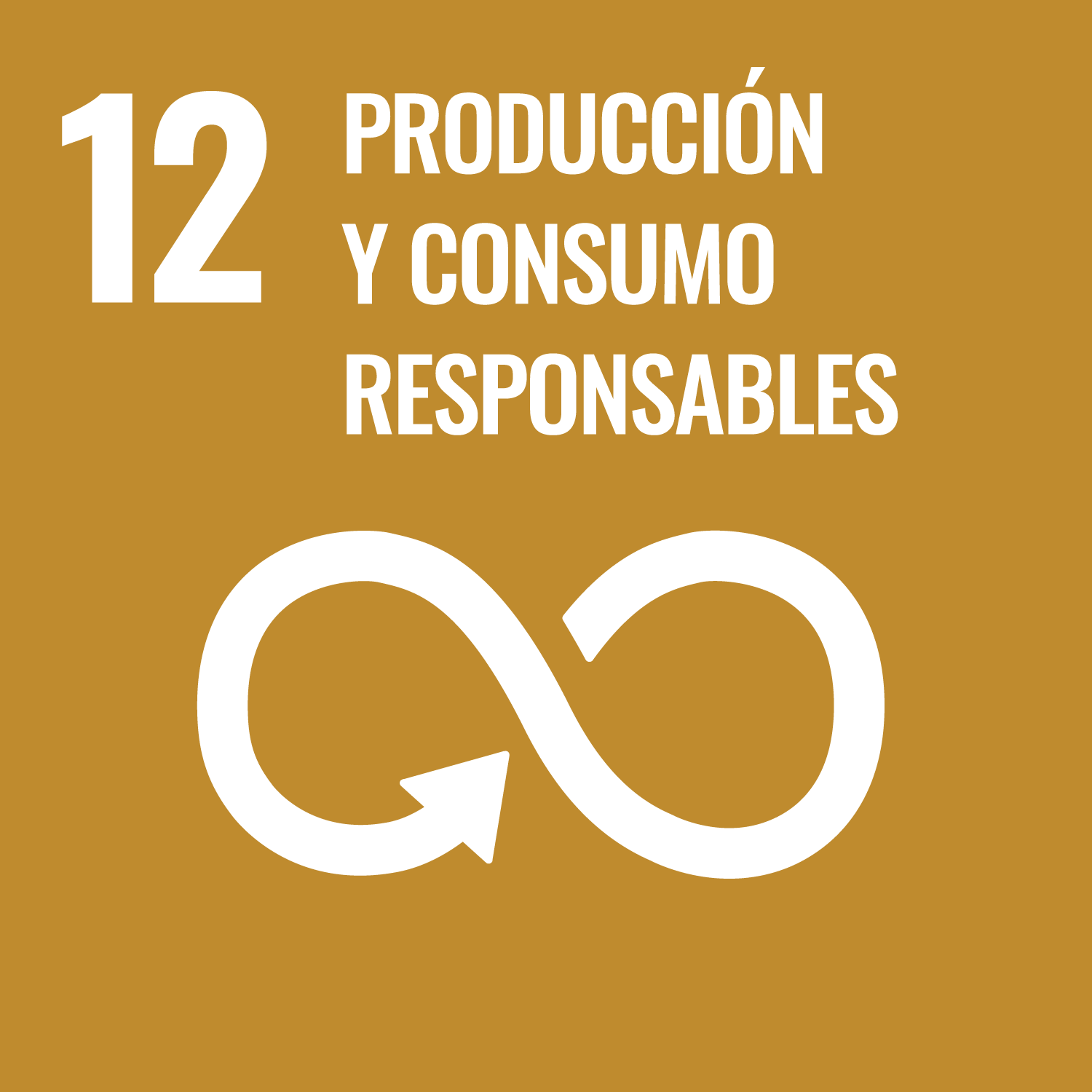 ODS 12 - Garantizar modalidades de consumo y producción sostenibles