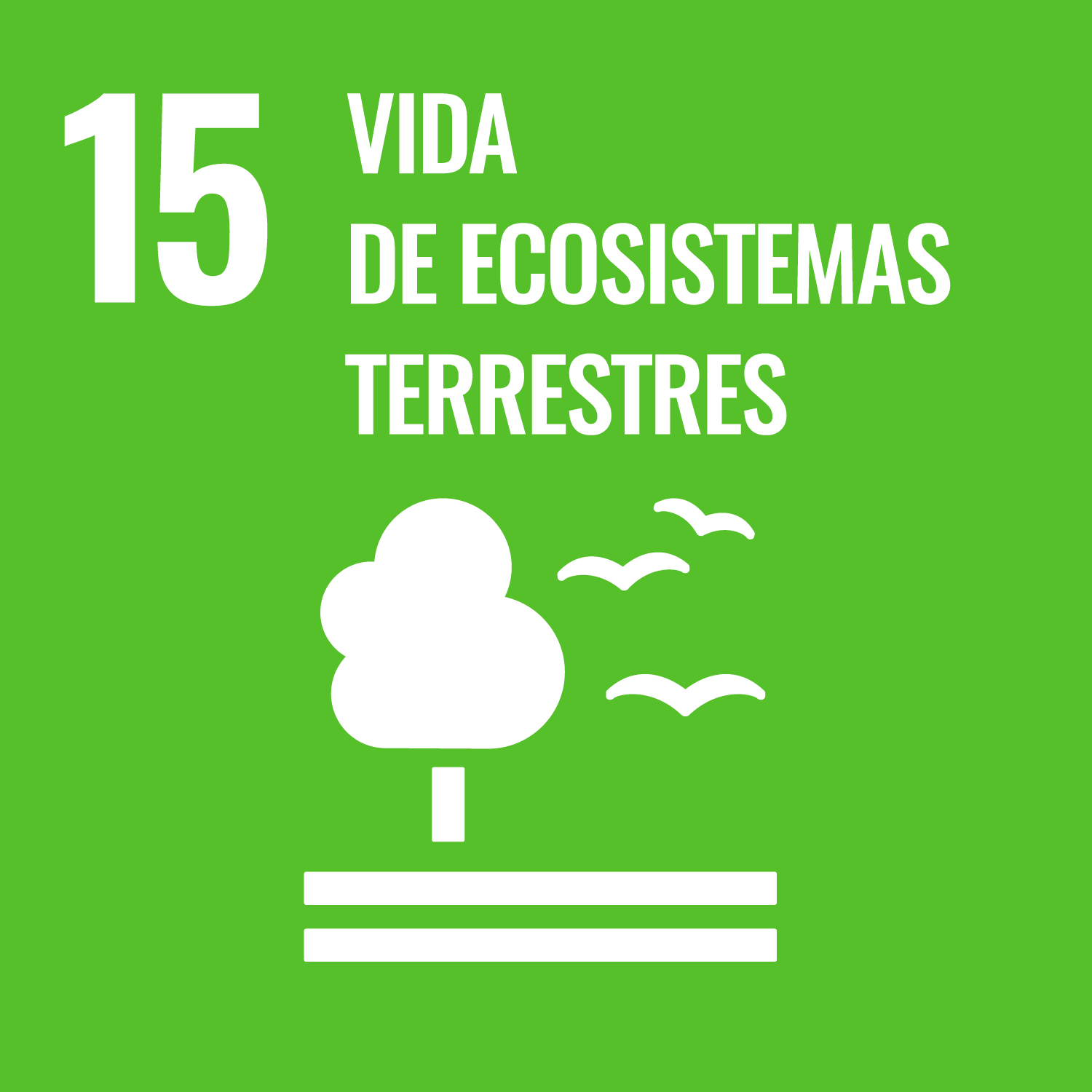 ODS 15 - Gestionar sosteniblemente los bosques, luchar contra la desertificación, detener e invertir la degradación de las tierras, detener la pérdida de biodiversidad