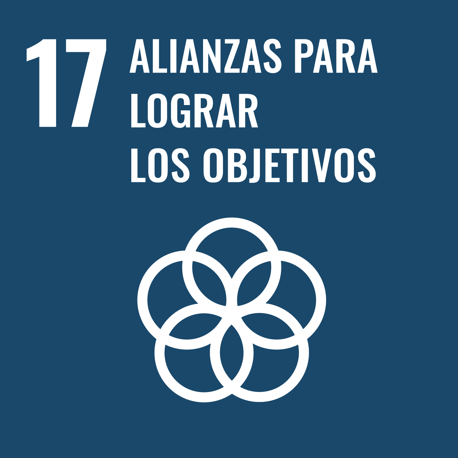 ODS 17 - Revitalizar la Alianza Mundial para el Desarrollo Sostenible